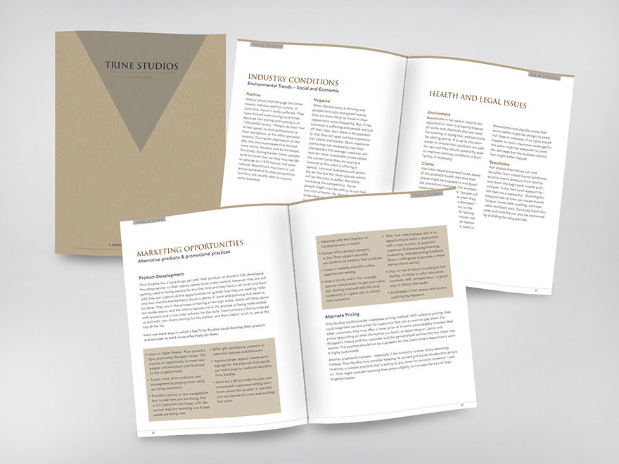 Marketing Report